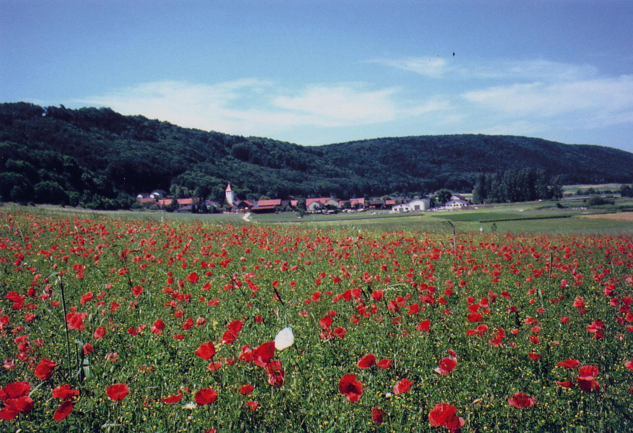 Landgasthof Wagner-Zimmermann Кіндінґ Екстер'єр фото